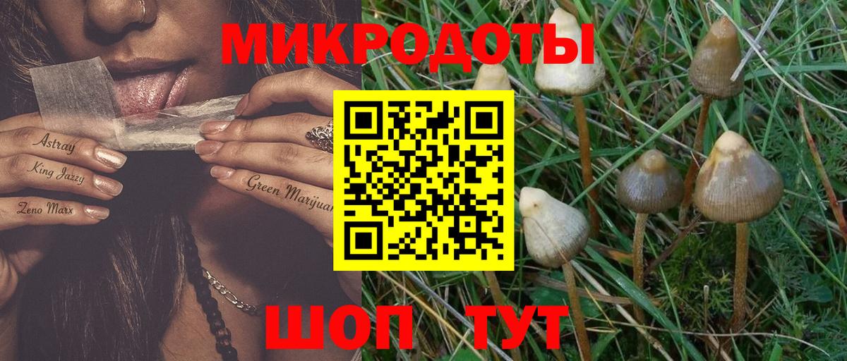 Галлюциногенные грибы GOLDEN TEACHER  Галлюциногенные грибы GOLDEN TEACHER  Назрань  Вход с VPN 