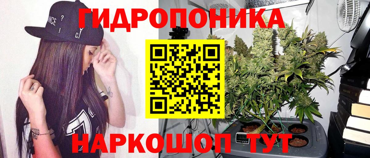 Бошки марихуана MAZAR  Шишки марихуана MAZAR  Назрань  МАРИХУАНА THC 21%  Вход с VPN 